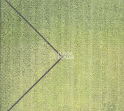 Ковровая плитка Milliken Clerkenwell tgp 118-103-141 Former Glory фото 1 | FLOORDEALER